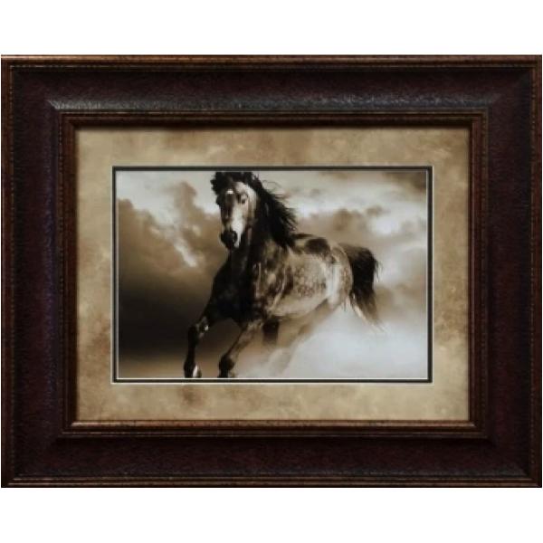Wild Stallion II
